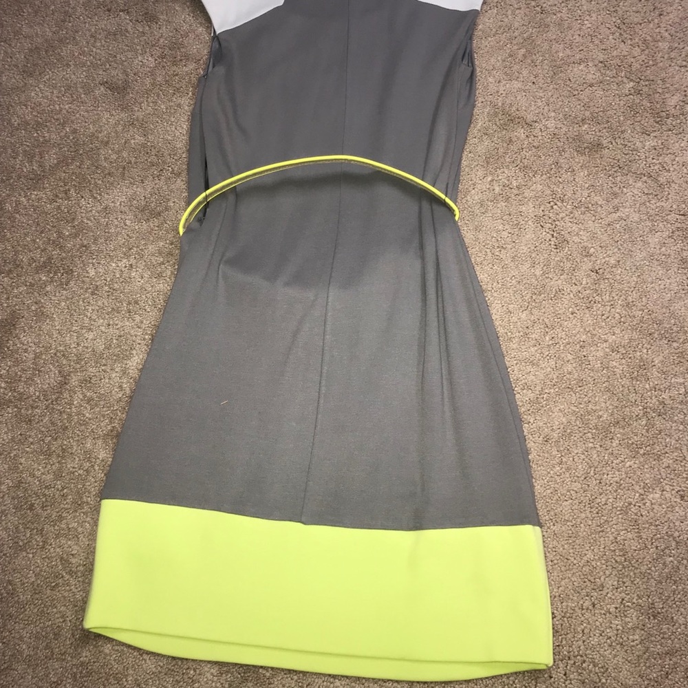 Bebe Dress - Picture 4 of 4